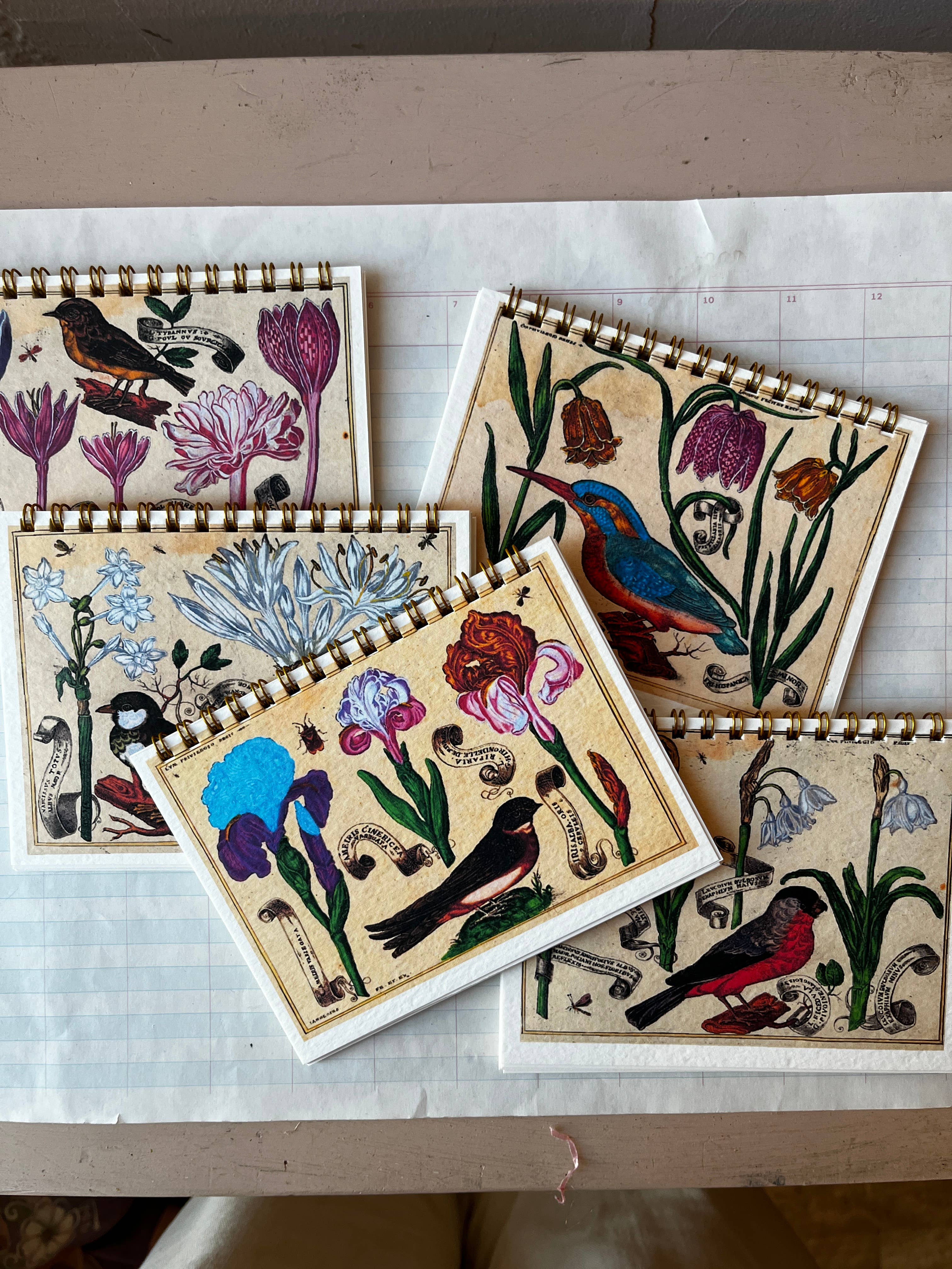 Birds and Trees of North America - Field Notes