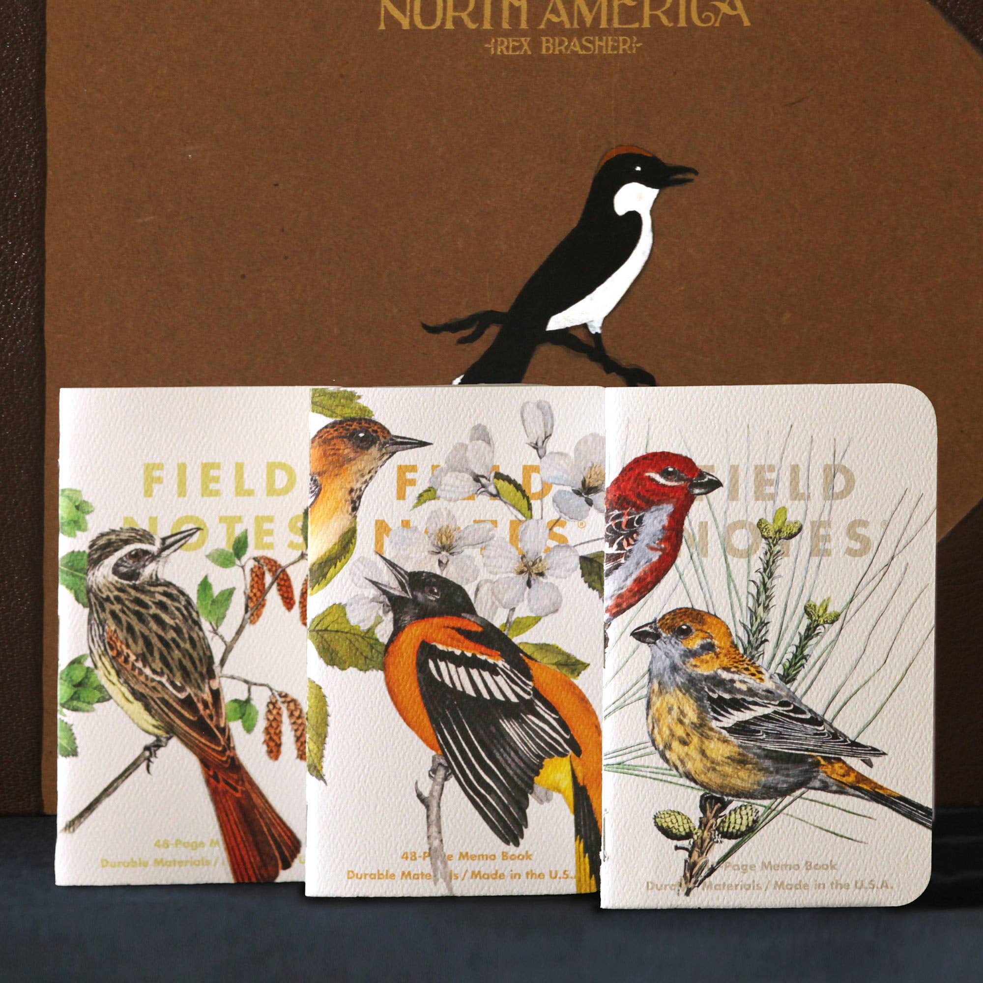 Birds and Trees of North America - Field Notes