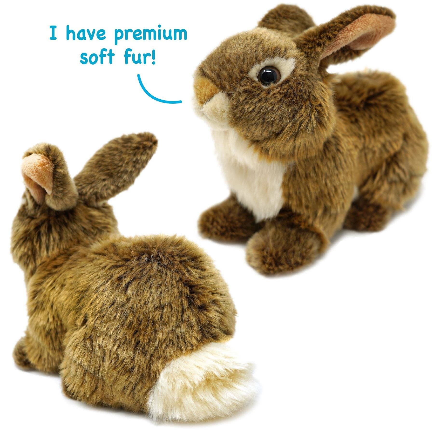 Brigid The Brown Rabbit | 10 Inch Stuffed Animal Plush | By TigerHart Toys - Wild Republic