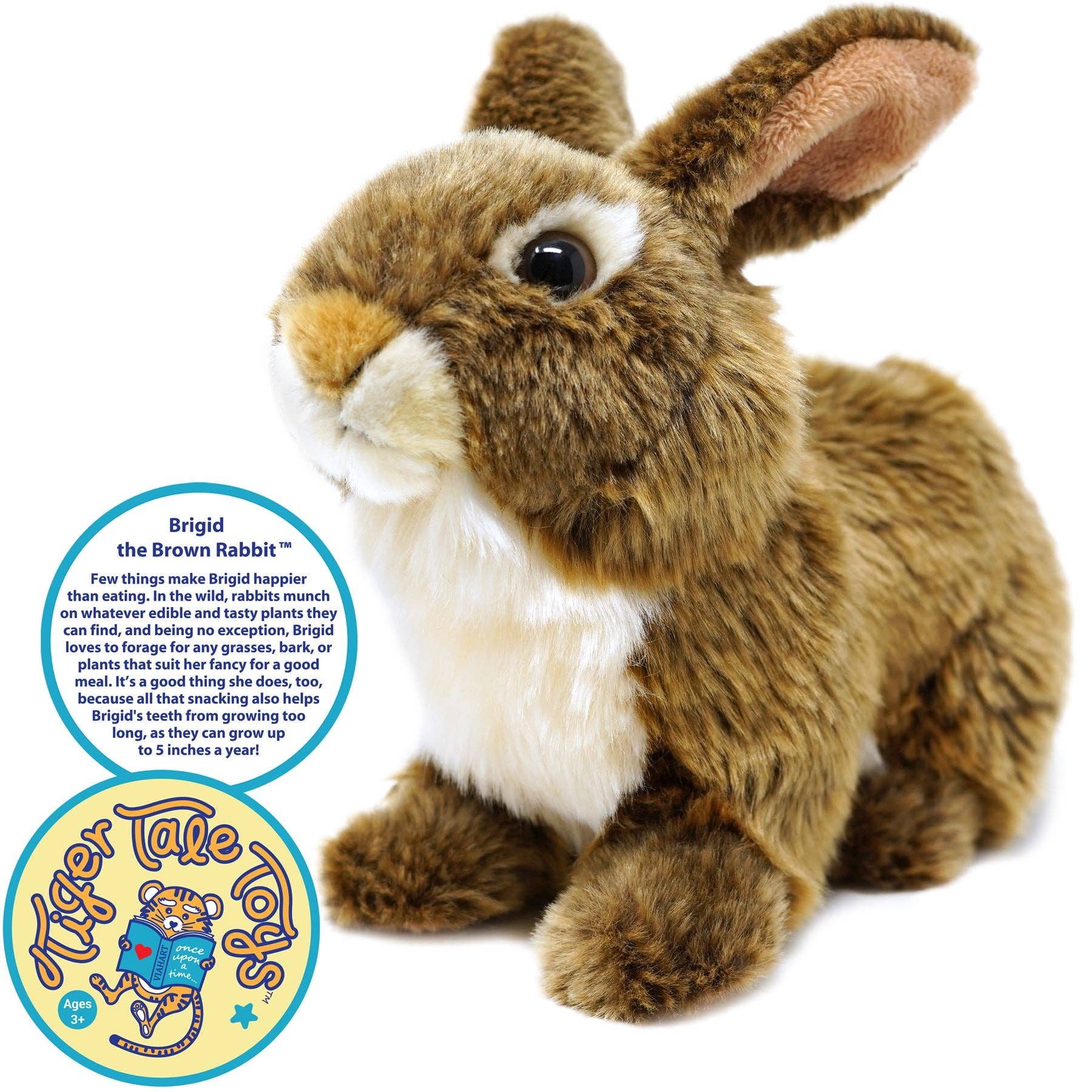 Brigid The Brown Rabbit | 10 Inch Stuffed Animal Plush | By TigerHart Toys - Wild Republic