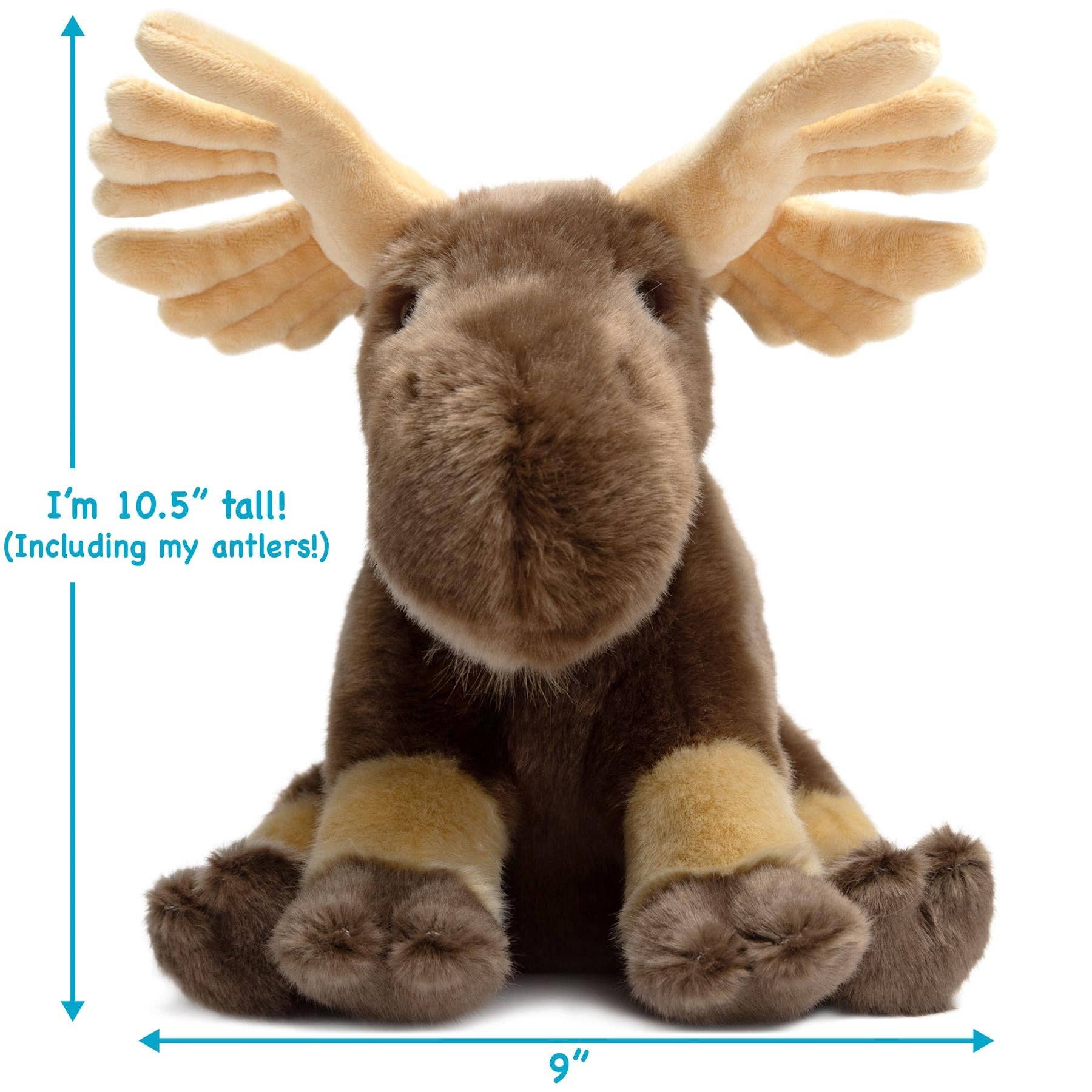 Martin The Moose | 11 Inch Stuffed Animal Plush | By TigerHart Toys - Cota Global