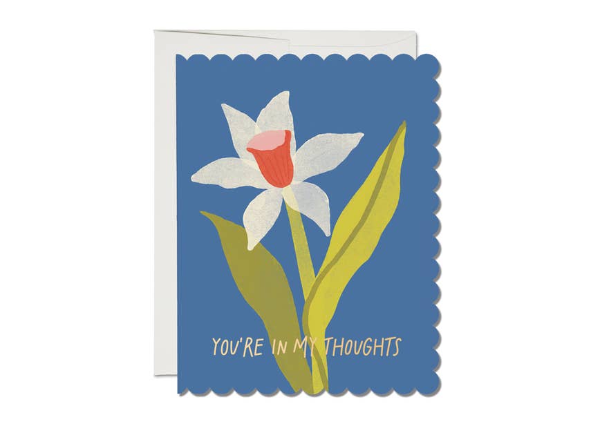 Scalloped Daffodil sympathy greeting card - Red Cap Cards