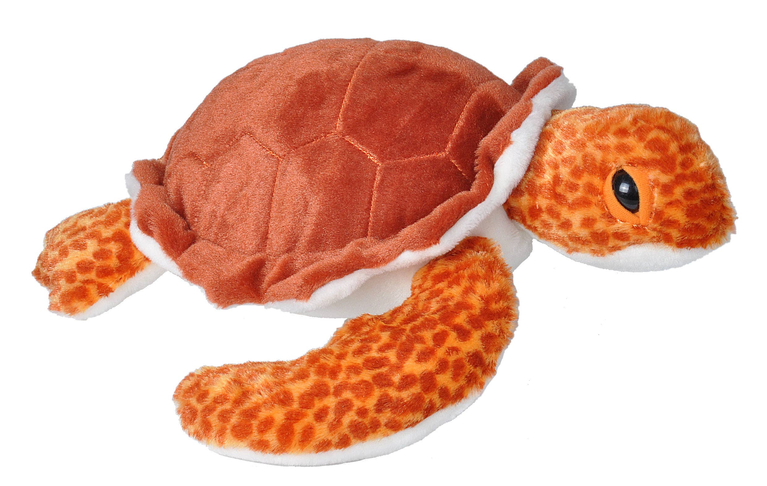 Turquoise The Green Sea Turtle - 15 Inch Stuffed Animal Plush - The Toy Network
