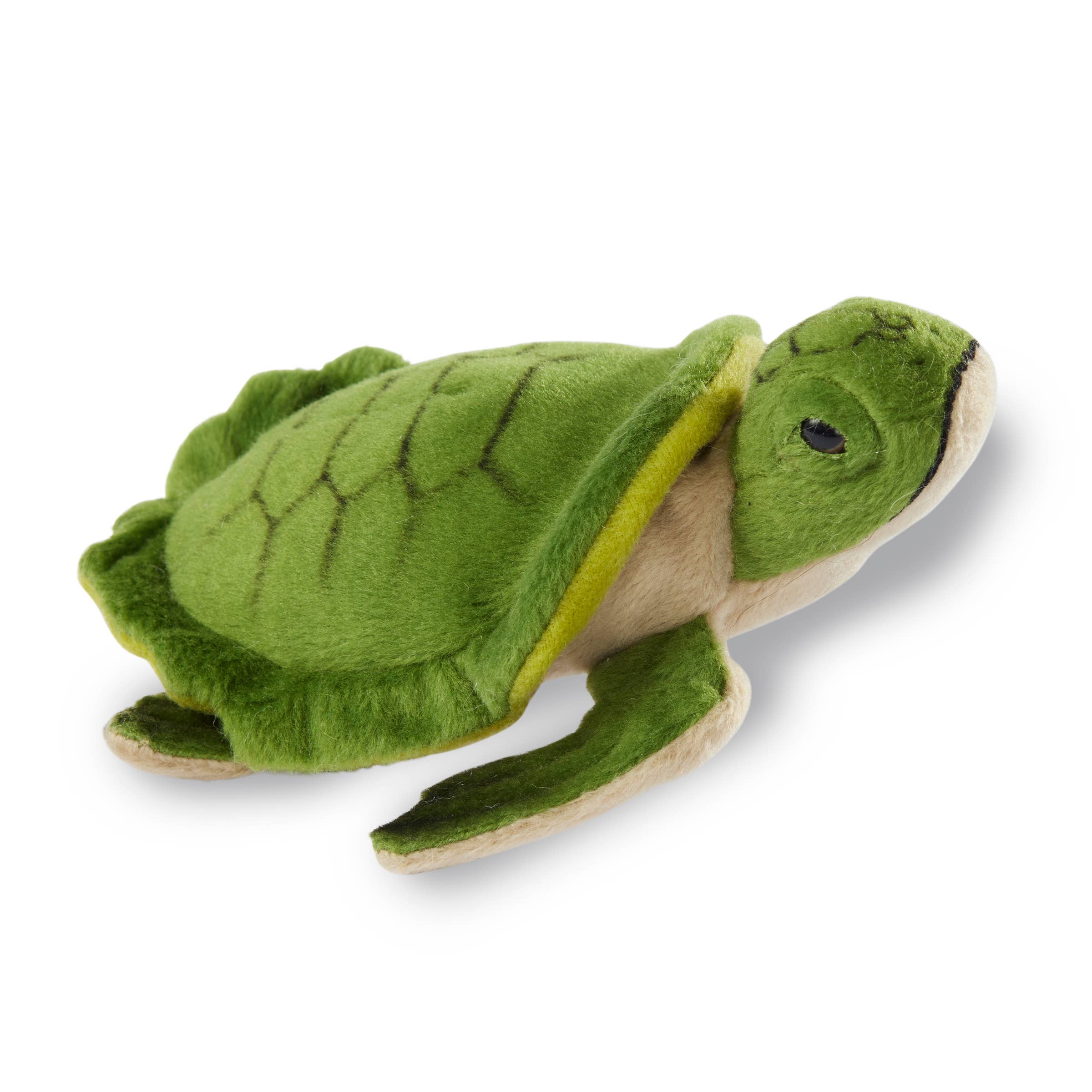 Turquoise The Green Sea Turtle - 15 Inch Stuffed Animal Plush - The Toy Network