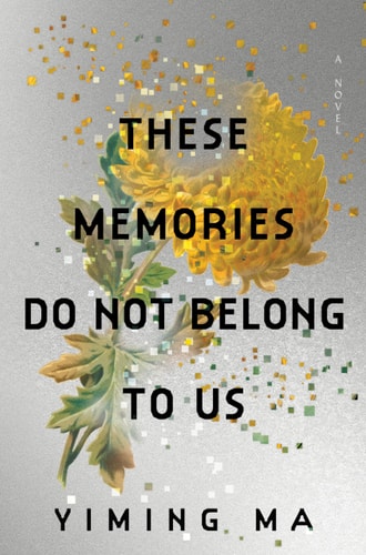 These Memories Do Not Belong to Us: A Constellation Novel