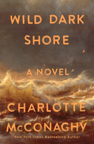 Wild Dark Shore: Reese's Book Club Pick (a Novel)